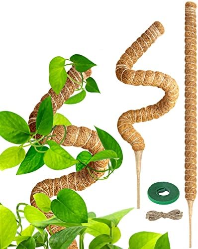 2 Pack Moss Pole for Plants Monstera, 28in Bendable Moss Pole for Climbing  Plants, Monstera Moss Pole, Bendable Plant Support for Indoor Plants and  Outdoor Plants, Small Moss Pole for Potted Plants –
